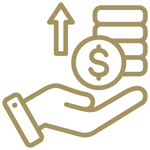 Budget Icon